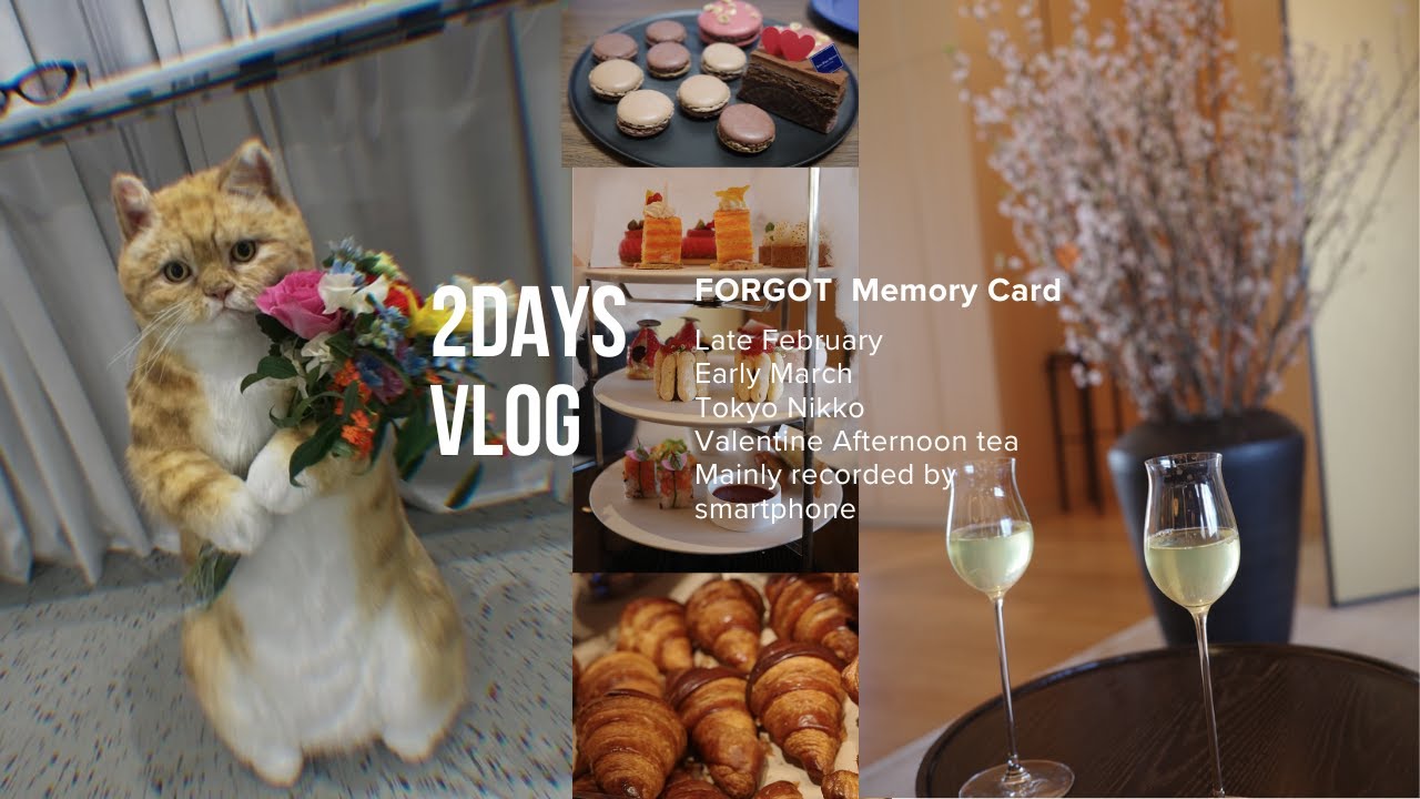 【バレンタイン vlog２０２６】日光アフヌン も🍰