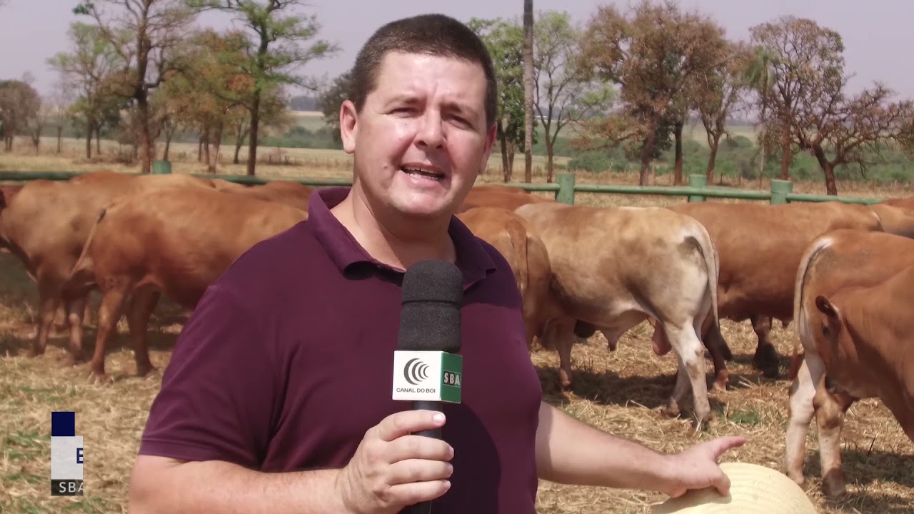 CALIDAD GENÉTICA - MONTANA CALIDAD