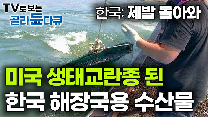 한국인들이 애타게 찾는 미국 가버린 조개의 정체｜이젠 보기 힘든 섬진강 재첩｜극한직업｜#골라듄다큐