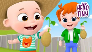 One Potato, Two Potatoes 🍟 | Best Kids Songs | Hello Tiny Nursery Rhymes