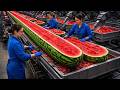 Inside the Watermelon Juice Factory | From Harvest to Supermarket (Full Process)
