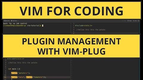 Mastering Vim: Plugin Management with Vim-Plug A Comprehensive Tutorial