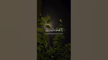 الآية 76 من سورة يس