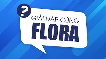 GIẢI ĐÁP CÙNG FLORA - KHI NÀO BẠN CẦN BỌC RĂNG SỨ?