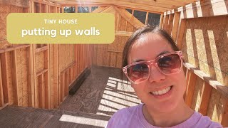 Building my tiny house: Putting up walls
