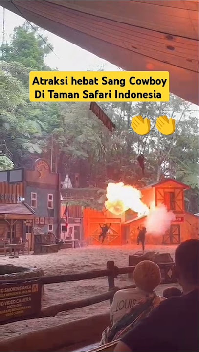 Keren pertunjukan cowboy di taman safari #shorts #cowboy #pertunjukan #tamansafariindonesia #feed