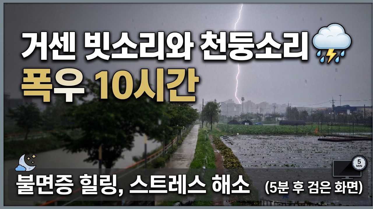 YouTube에서 거센 빗소리와 천둥소리 ⛈️ 5분 후 검은 화면 | 불면증 힐링, 스트레스 해소 폭우 10시간 보기 YouTube에서 거센 빗소리와 천둥소리 ⛈️ 5분 후 검은 화면 | 불면증 힐링, 스트레스 해소 폭우 10시간 보기