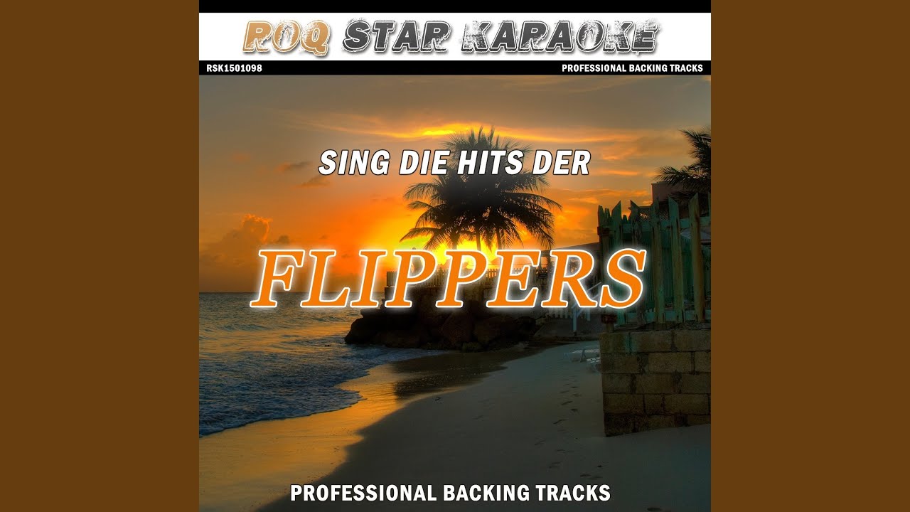 Aber Dich Gibt's Nur Einmal Für Mich Flippers