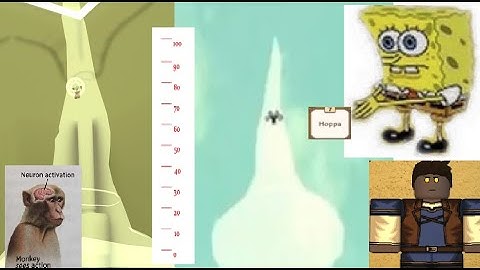 Hoppa | Rogue Lineage