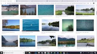 Muse Project 2 - Add a browser fill image