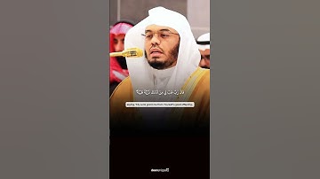 تلاوة جميلة و رائعة بصوت الشيخ #ياسر_الدوسري من سورة آل عمران✨❤️