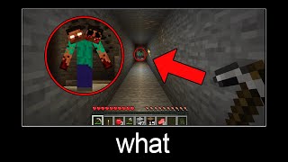 Minecraft wait what meme part 210 (Scary two-headed Herobrine)