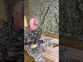 XM21 Sniper Rifle vs SteelOps