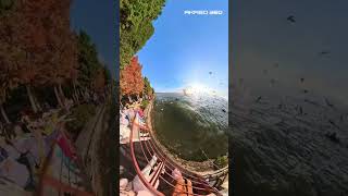 AKASO 360 + hundreds of seagulls = pure chaos… and the coolest shots ever. 🕊️