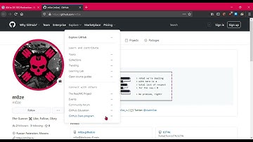 [ WordPress ] 404 SEO Redirection v1.3 - Multiple XSS & XFS Issues / CSRF