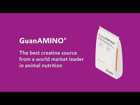 GuanAMINO® - The creatine source that ensures optimal nutrient utilization | Evonik