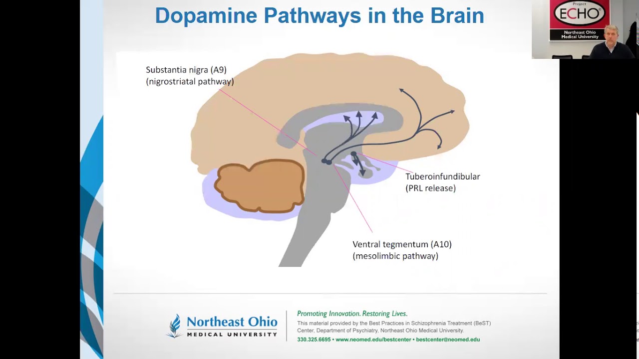 Dopamine Innovation