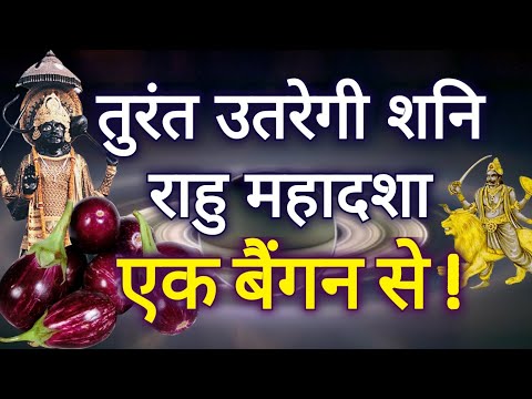 सिर्फ एक बैंगन तुरंत उतारेगी आपके जीवन से शनि और राहु केतु की महादशा- YouTube