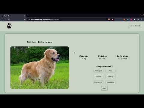 Henry Dog App - Individual Project at Henry Bootcamp