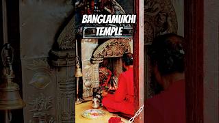 Banglamukhi Temple, Patan | #jatra #viral #newariculture #reels #reel #shortvideo #shorts #short