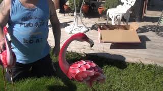 bRIGHT pink fLAMINGO pAIR @ COSTCO