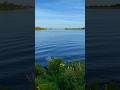 Moscow sea Московское море Иваньковское водохранилище #водохранилище #рыбалка #щука #волга #судак