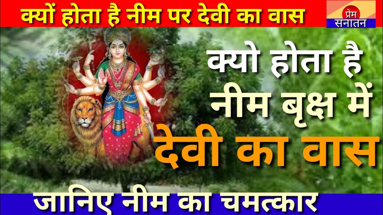 Why does Goddess reside on the Neem tree  Miracles of Neem