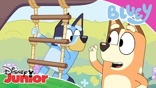 💙 Dem bästa ögonblicken | Bluey | Disney Junior Sverige