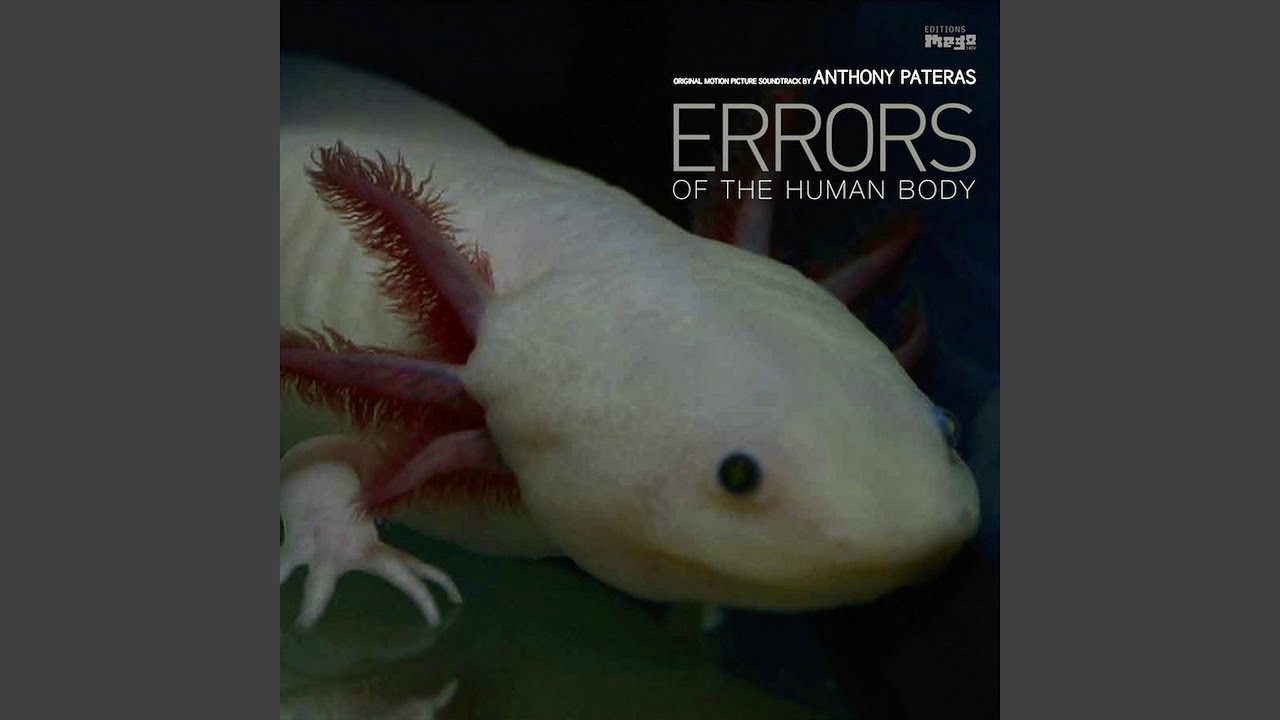 Automatic 4 adlı videoyu YouTube'da izle Automatic 4 adlı videoyu YouTube'da izle