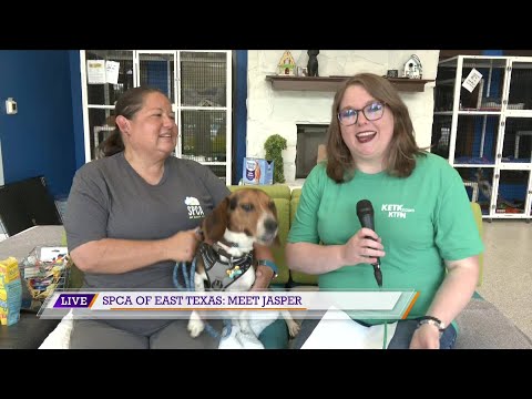 Enter Kjas Jasper News 74 Trail - mfykq2o