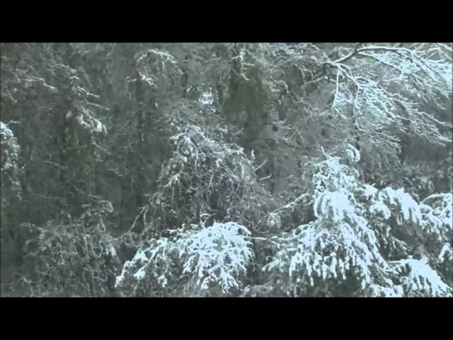 Sleduj Jason van Wyk - Winter (Original Mix) na YouTube Sleduj Jason van Wyk - Winter (Original Mix) na YouTube