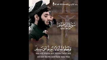 من سورة إبراهيم القارئ رعد الكردي حالات واتس اب دينيه 🖤✨