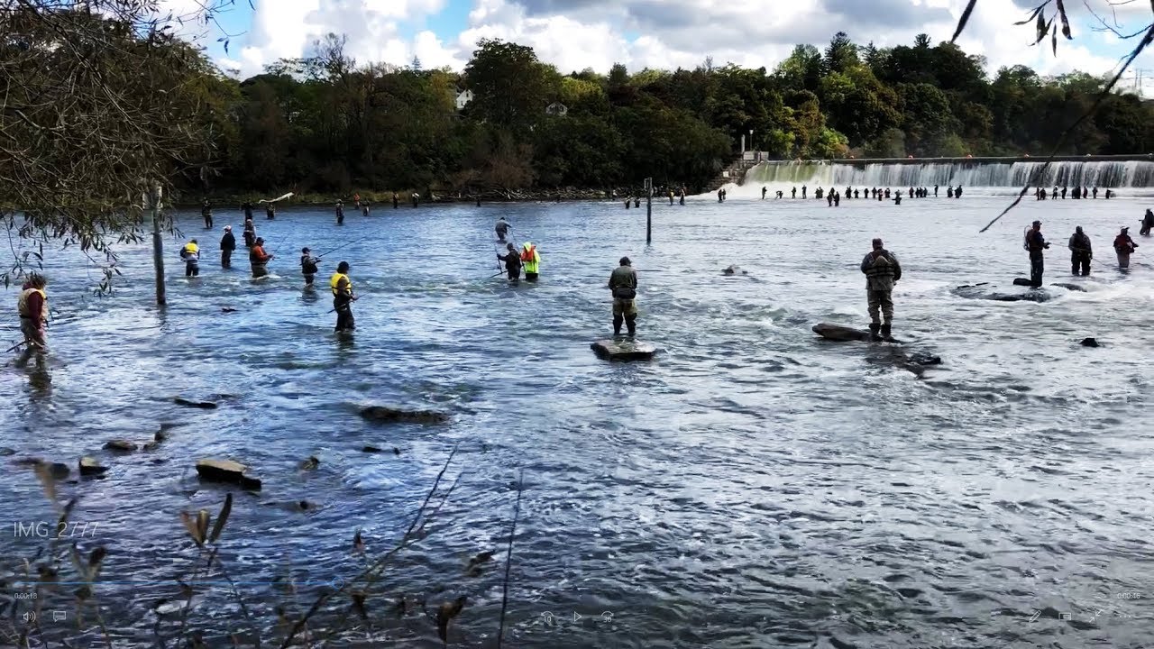 Oswego River Salmon Fishing 2018 Exciting Fishing Experience YouTube