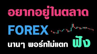 บทเรียนบริหารความเสี่ยง - คลิปนี้คุ้ม ทั้งเนื้อหา และจิตวิทยาการเทรด - ลองฟังดู