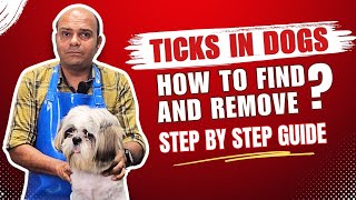 Ticks in Dogs - How to Find & Remove? Step-by-step guide By Baadal Bhandaari by Dogs Your Friends Forever 2,470 views 7 days ago 6 minutes, 26 seconds