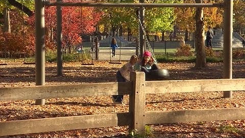 Identifying behavioral disorders in children