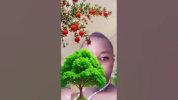 Mapenzi Kilio Music Dance Haveitoldyoulatelythatiloveyou 