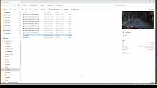 السلحفاة/واو الكلاسيكية | أين تجد لقطات الشاشة (النافذة 11) - دليل 2026 screenshot 3