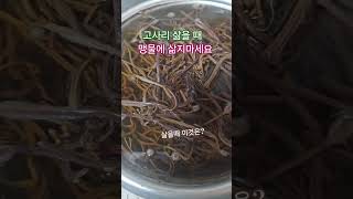 #고사리 삶을때 #건강 #채소 #음식 #food #힐링 #삼겹살