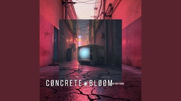 F Ø R G Ø T T e N ˙ P a y P H Ø N e