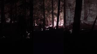 night back fire operation.