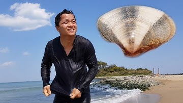 Video Bắt Nghêu Tại Biển Ulsan Hàn Quốc