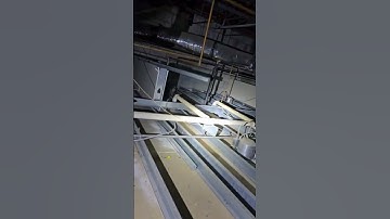 Rodent Entry Points Found in a Commercial Space