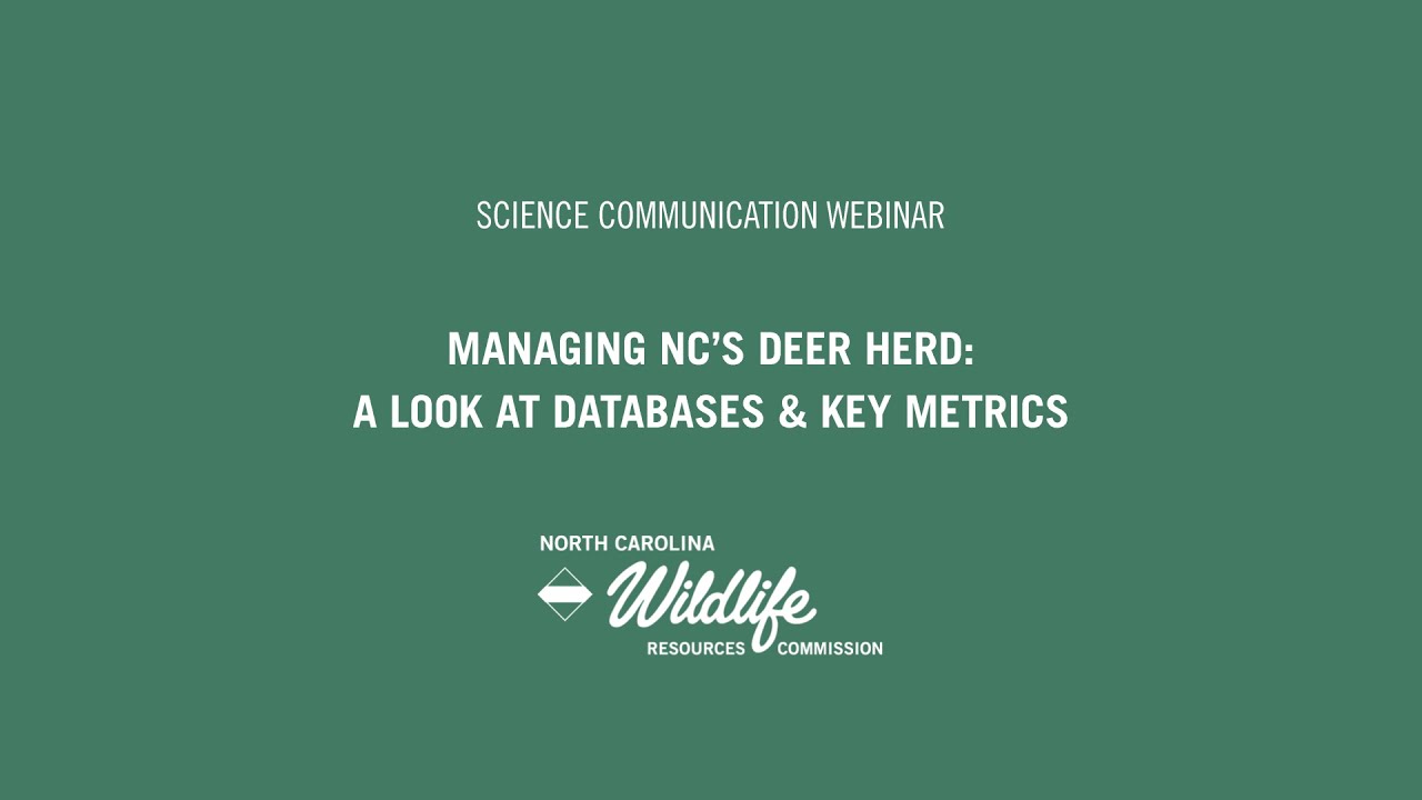 Understanding our Wild Life Webinar Series