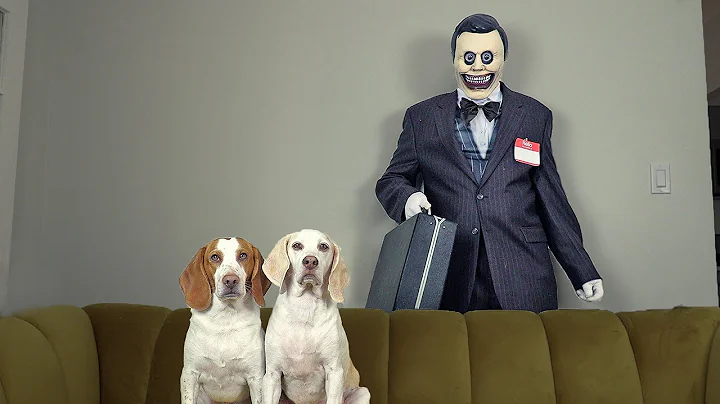 Dogs vs Zombie Salesman Prank: Funny Dogs Maymo & ...