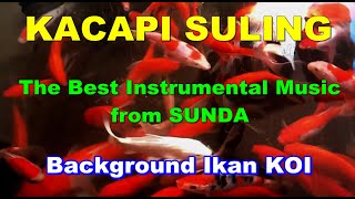 The Best Instrumental Music from Sunda | Kacapi Suling Sunda dengan Keindahan Ikan Koi