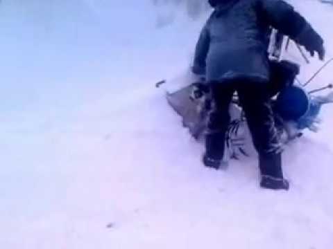 Снасть для ловли толстолобика зимой видео