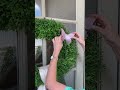 Fig & Dove | Summer Front Door Decor