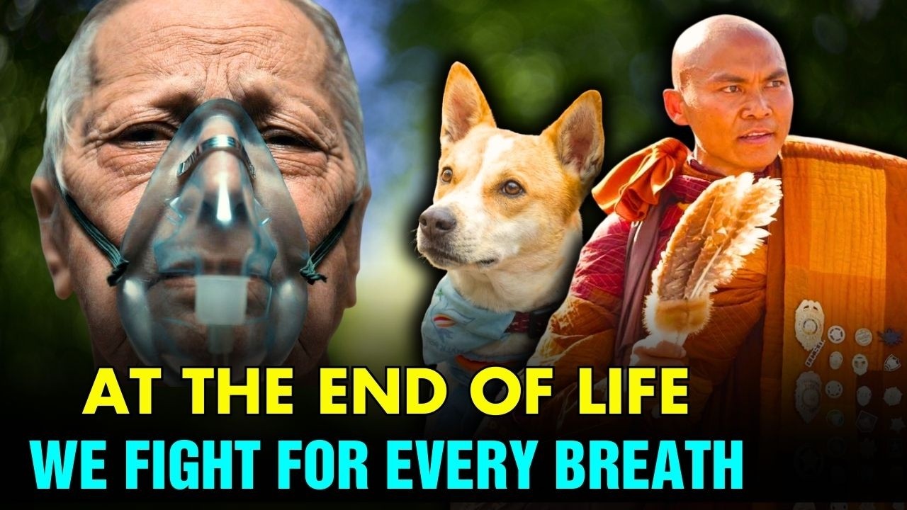 At the End of Life, We Fight for Every Breath — But Ignore It Every Day | Walk for Peace