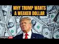 LIVE: Trump Wants a Cheaper US Dollar; How Does it Impact Americans? | Trump News | N18G